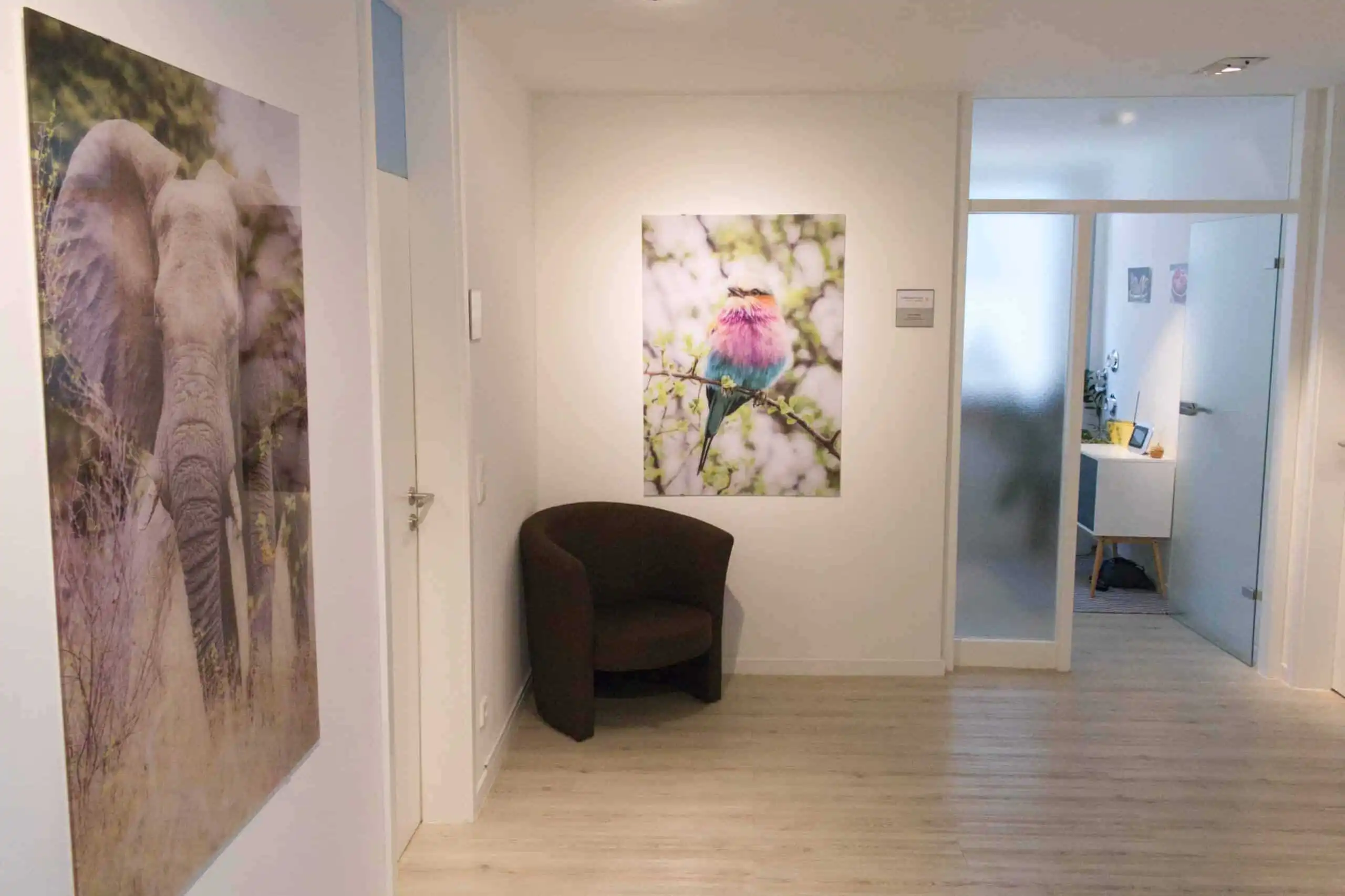 Raum für Ernährungsberatung Frankfurt